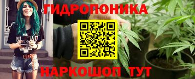 СК Дубна