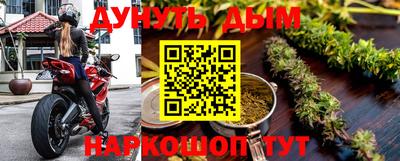 СК Дубна