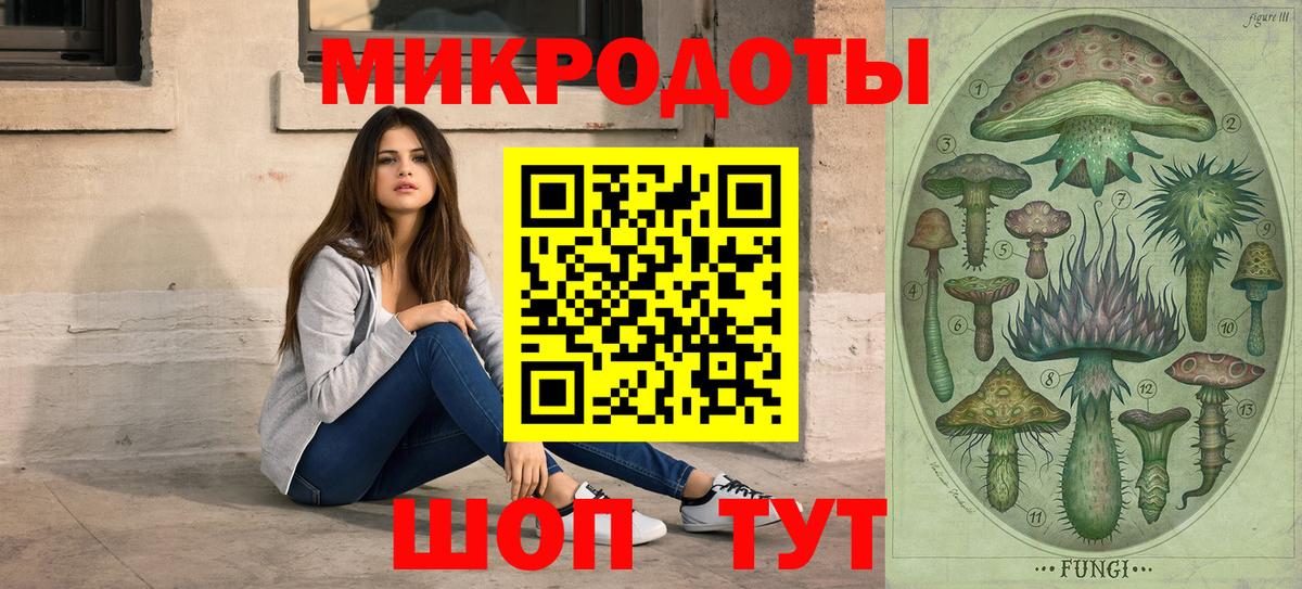 Псилоцибиновые грибы прущие грибы Великий Устюг
