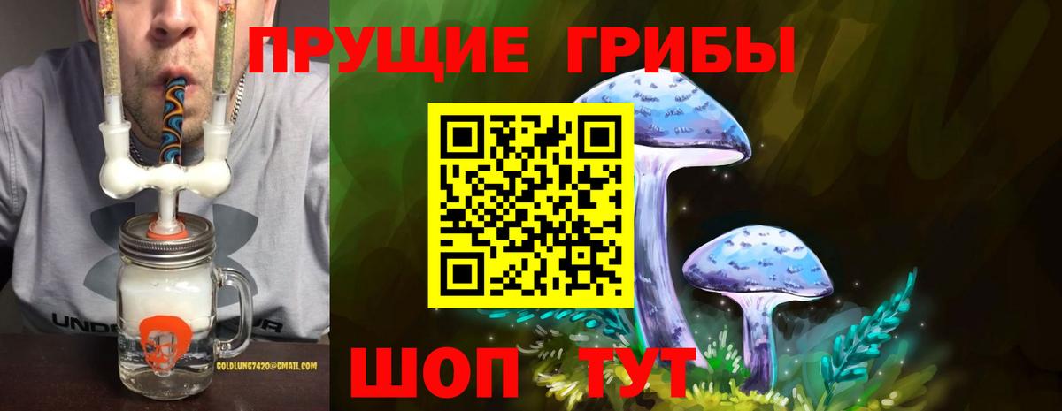 Великий Устюг  Псилоцибиновые грибы Psilocybe  Псилоцибиновые грибы Psilocybine cubensis  Вход с VPN 
